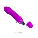 PRETTY LOVE - STEV, PURPLE 10 function PRETTY LOVE - STEV, PURPLE 10 function