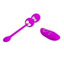 PRETTY LOVE - WILLIE USB remote control 12 function PRETTY LOVE - WILLIE USB remote control 12 function