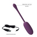 PRETTY LOVE - CASPER Purple 12 vibration functions Mobile APP remote control PRETTY LOVE - CASPER Purple 12 vibration functions Mobile APP remote control