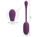 PRETTY LOVE - Doreen, 12 vibration functions 3 electric shock functions Mobile APP Long-distance Control PRETTY LOVE - Doreen, 12 vibration functions 3 electric shock functions Mobile APP Long-distance Control