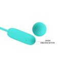 PRETTY LOVE -Joyce, 12 vibration functions Memory function PRETTY LOVE -Joyce, 12 vibration functions Memory function