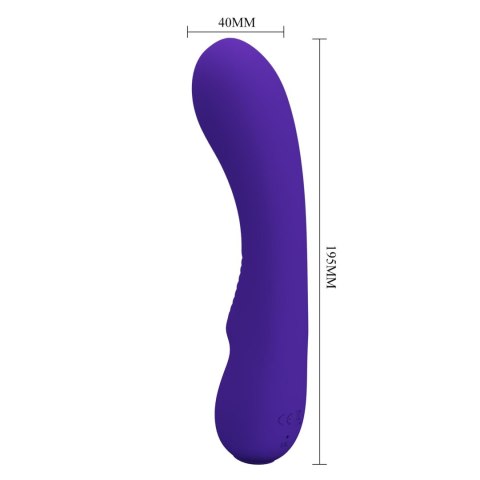 PRETTY LOVE - Matt Purple 12 vibration functions Memory function PRETTY LOVE - Matt Purple 12 vibration functions Memory function