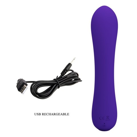 PRETTY LOVE - Matt Purple 12 vibration functions Memory function PRETTY LOVE - Matt Purple 12 vibration functions Memory function