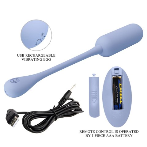 PRETTY LOVE - LECHIES Dream chaser 5, Blue, Wireless remote control 12 vibration functions Memory function PRETTY LOVE - LECHIES Dream chaser 5, Blue, Wireless remote control 12 vibration functions Memory function
