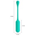 PRETTY LOVE - LECHIES Dream chaser 5, Green, Wireless remote control 12 vibration functions Memory function PRETTY LOVE - LECHIES Dream chaser 5, Green, Wireless remote control 12 vibration functions Memory function