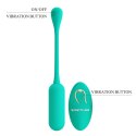 PRETTY LOVE - LECHIES Dream chaser 5, Green, Wireless remote control 12 vibration functions Memory function PRETTY LOVE - LECHIES Dream chaser 5, Green, Wireless remote control 12 vibration functions Memory function