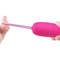 PRETTY LOVE -SELKIE, 12 vibration functions Wireless remote control PRETTY LOVE -SELKIE, 12 vibration functions Wireless remote control
