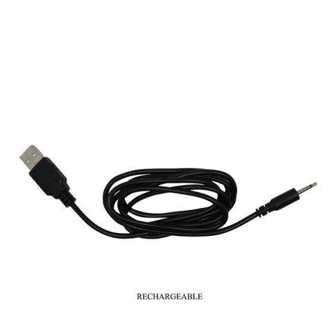 PRETTY LOVE - PROSTATE MASSAGER Tickling 4 & Vibrating 7 USB PRETTY LOVE - PROSTATE MASSAGER Tickling 4 & Vibrating 7 USB