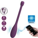 LEVIATHAN APP CONTROLLED VIBRATOR PURPLE LEVIATHAN APP CONTROLLED VIBRATOR PURPLE