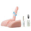 BAILE - Male Cock and Vagina BAILE - Male Cock and Vagina