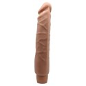 BAILE- Multispeed Flexible Vibrator BAILE- Multispeed Flexible Vibrator