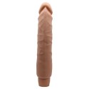 BAILE- Multispeed Flexible Vibrator BAILE- Multispeed Flexible Vibrator