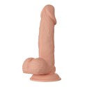 BAILE-Beautiful Zebulon 7.6"""" BAILE-Beautiful Zebulon 7.6""""