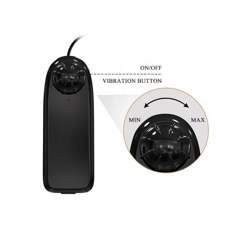 BAILE-Beautiful Zebulon Vibration 7.6"""" BAILE-Beautiful Zebulon Vibration 7.6""""