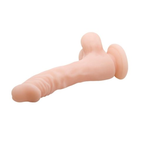 BAILE - COCK 8,5 BAILE - COCK 8,5
