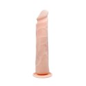 BAILE - Flexible Real Penis BAILE - Flexible Real Penis