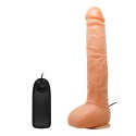 BAILE - Penis Vibration BAILE - Penis Vibration
