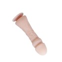 BAILE - The Big Penis BAILE - The Big Penis
