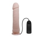 BAILE - The Big Penis BAILE - The Big Penis