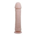 BAILE - The Big Penis BAILE - The Big Penis