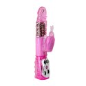 BAILE- Deluxe Dream Lover, Vibration Rotation BAILE- Deluxe Dream Lover, Vibration Rotation