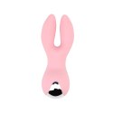 Dreamlike Rabbit Dreamlike Rabbit