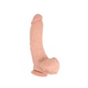 Phallic Rider Phallic Rider