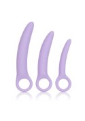 Alena Set of 3 Dilators Purple Alena Set of 3 Dilators Purple