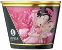 Massage Candle Roses Massage Candle Roses
