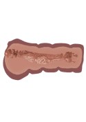 Super Wet Travel Beaver Brown skin tone Super Wet Travel Beaver Brown skin tone