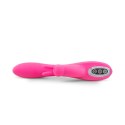 Double Rabbit vibrator Double Rabbit vibrator
