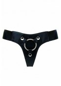 Elastic Harness Elastic Harness