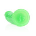 Slim Realistic Dildo with Suction Cup - Glow in the Dark - 6'' / 15,5 cm Slim Realistic Dildo with Suction Cup - Glow in the Dark - 6'' / 15,5 cm