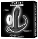 Thrusting anal vibrator Thrusting anal vibrator