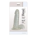 Dildo-JELLY DILDO REAL RAPTURE CLEAR 6,5" Dildo-JELLY DILDO REAL RAPTURE CLEAR 6,5"