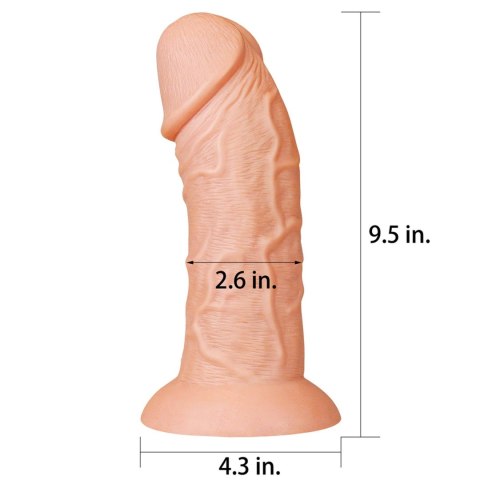 9.5'' Realistic Curved Dildo 9.5'' Realistic Curved Dildo