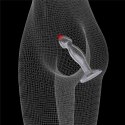 Flawless Clear Prostate Plug 6.5'' Flawless Clear Prostate Plug 6.5''