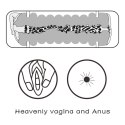 Virgin-Skin Blowout Stroker
Vagina and Anus Virgin-Skin Blowout Stroker
Vagina and Anus