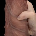 10.5'' Dual Layered Silicone Cock XXL 10.5'' Dual Layered Silicone Cock XXL