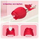 Flirting Partner USB 10 functions Flirting Partner USB 10 functions