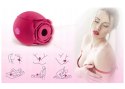 Flirting Partner USB 10 functions Flirting Partner USB 10 functions