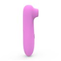 Oral Princess pink Oral Princess pink