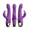 Zing purple Zing purple