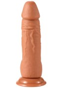 Realistic Dildo PVC 18 cm Realistic Dildo PVC 18 cm
