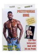Lalka- Przystojniak - Hunk Male Doll Lalka- Przystojniak - Hunk Male Doll