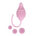 Pelvix Silicone String (Lote) Pelvix Silicone String (Lote)