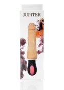 Wibrator-JUPITER-USB-12function,rotation vibrator Wibrator-JUPITER-USB-12function,rotation vibrator