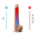 Dildo-SD.Model 1 ( 10"" ) Flesh BOX