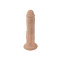 Dildo-SD.Model 1 (8""&7"") Flesh BOX Motor + LRS Dildo-SD.Model 1 (8""&7"") Flesh BOX Motor + LRS