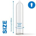 Pasante King Size Condoms Bulk Packs 144 pcs Pasante King Size Condoms Bulk Packs 144 pcs